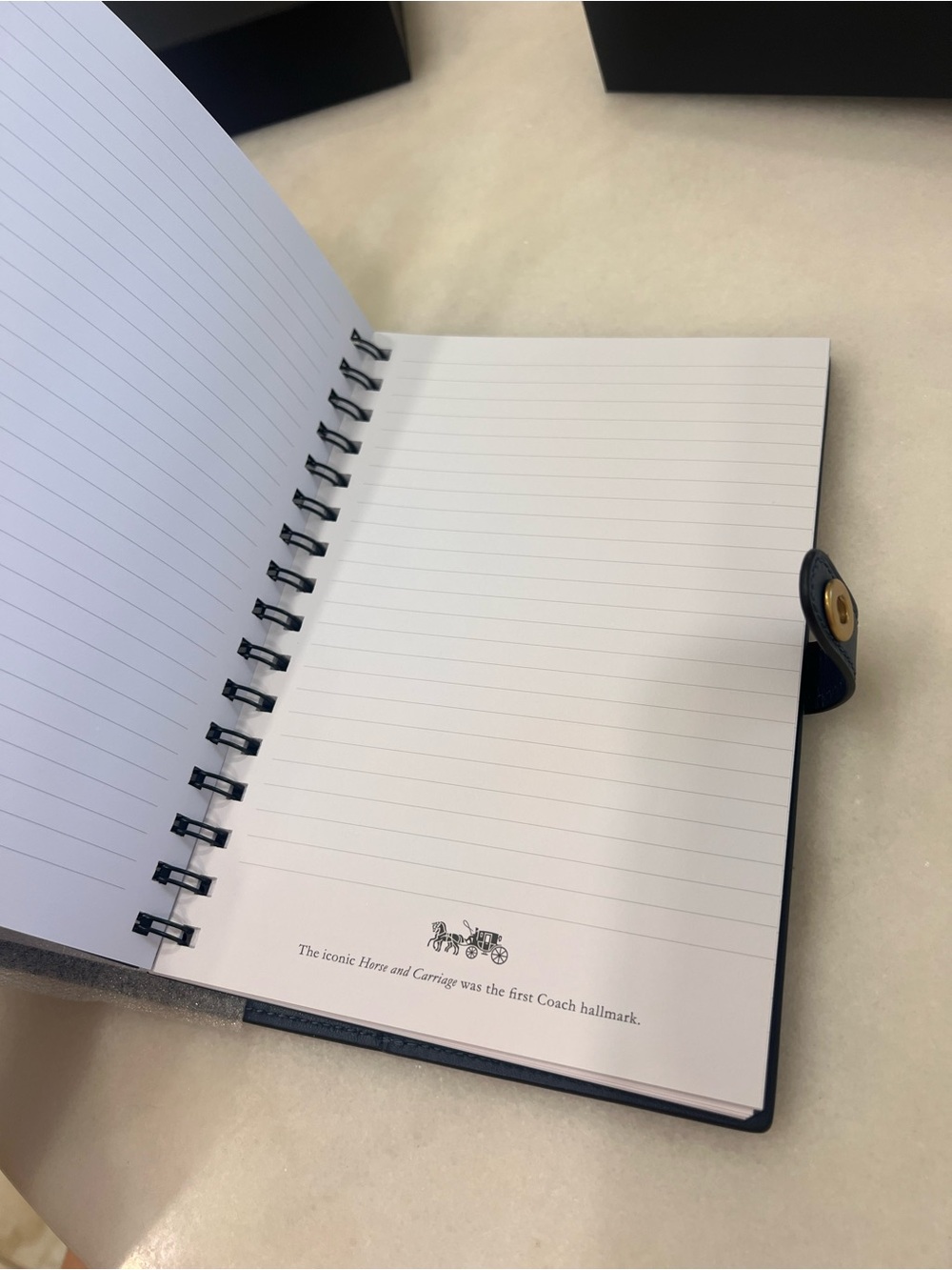 Coach Notebook With Rexy - Picture 6 of 14